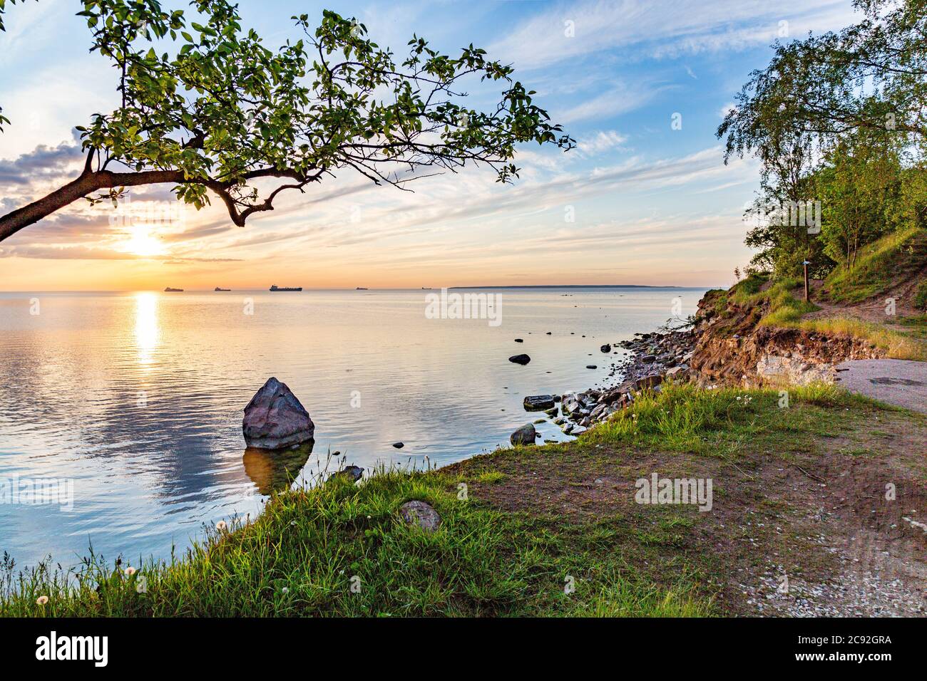 Alter Baum auf der Klippe an der Ostseeküste.Sommer wolkiger Sonnenuntergang Stockfoto