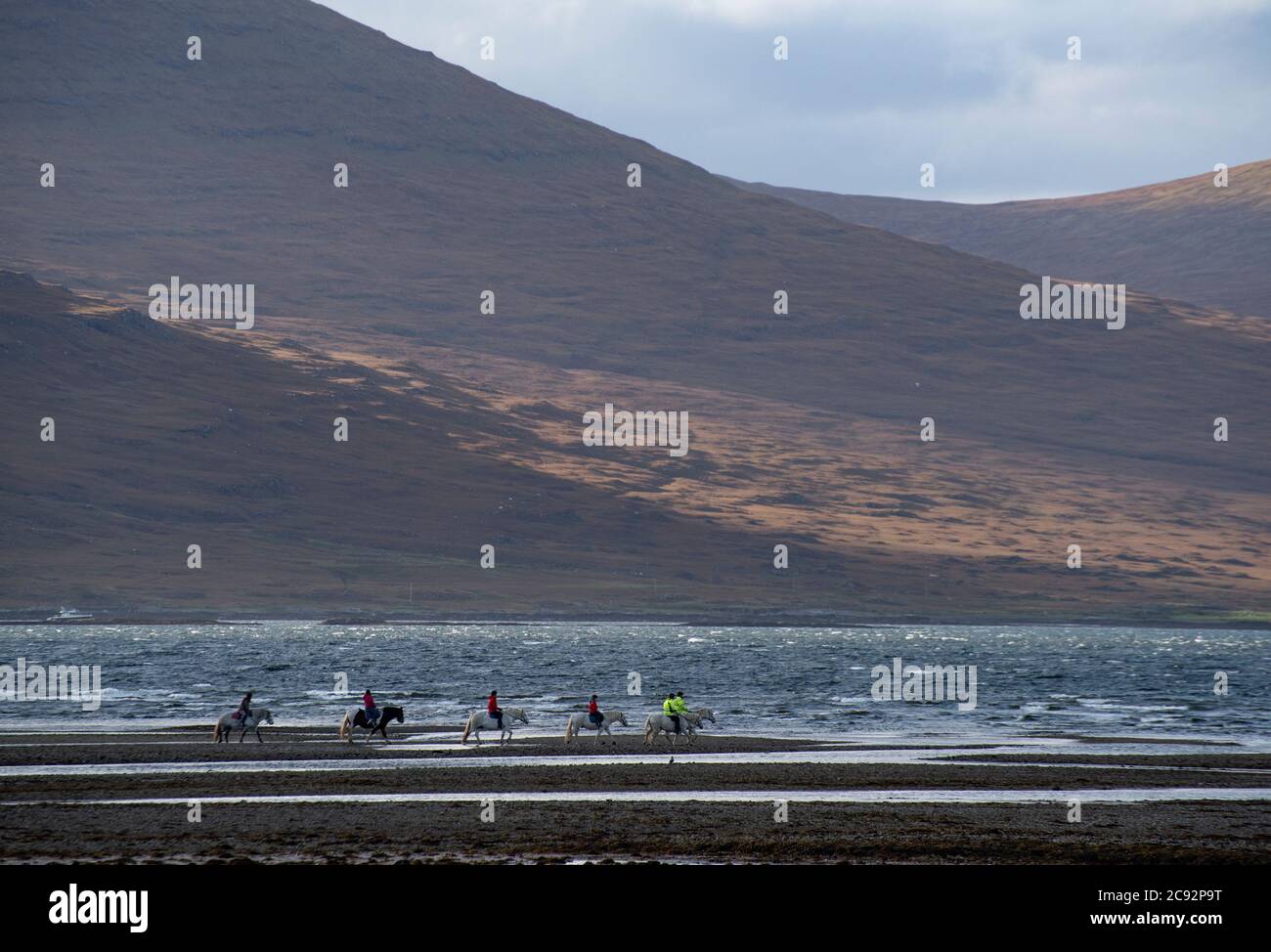 Pony Trekking, Loch Na Keal, Killiechronan, Isle of Mull, Argyll and Bute, Schottland, Vereinigtes Königreich. Stockfoto