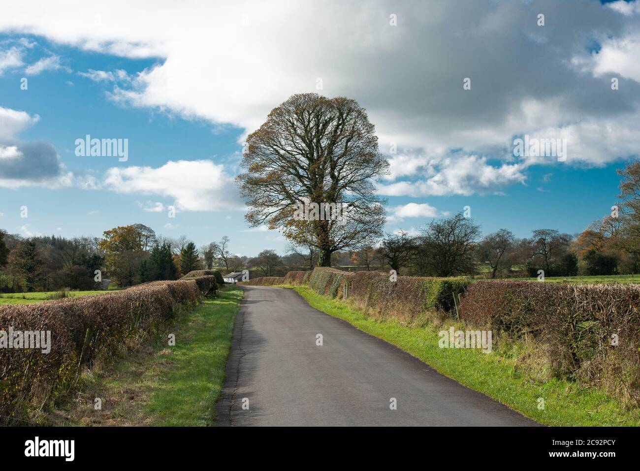 Country Lane, Chipping, Preston, Lancashire, England, Großbritannien. Stockfoto