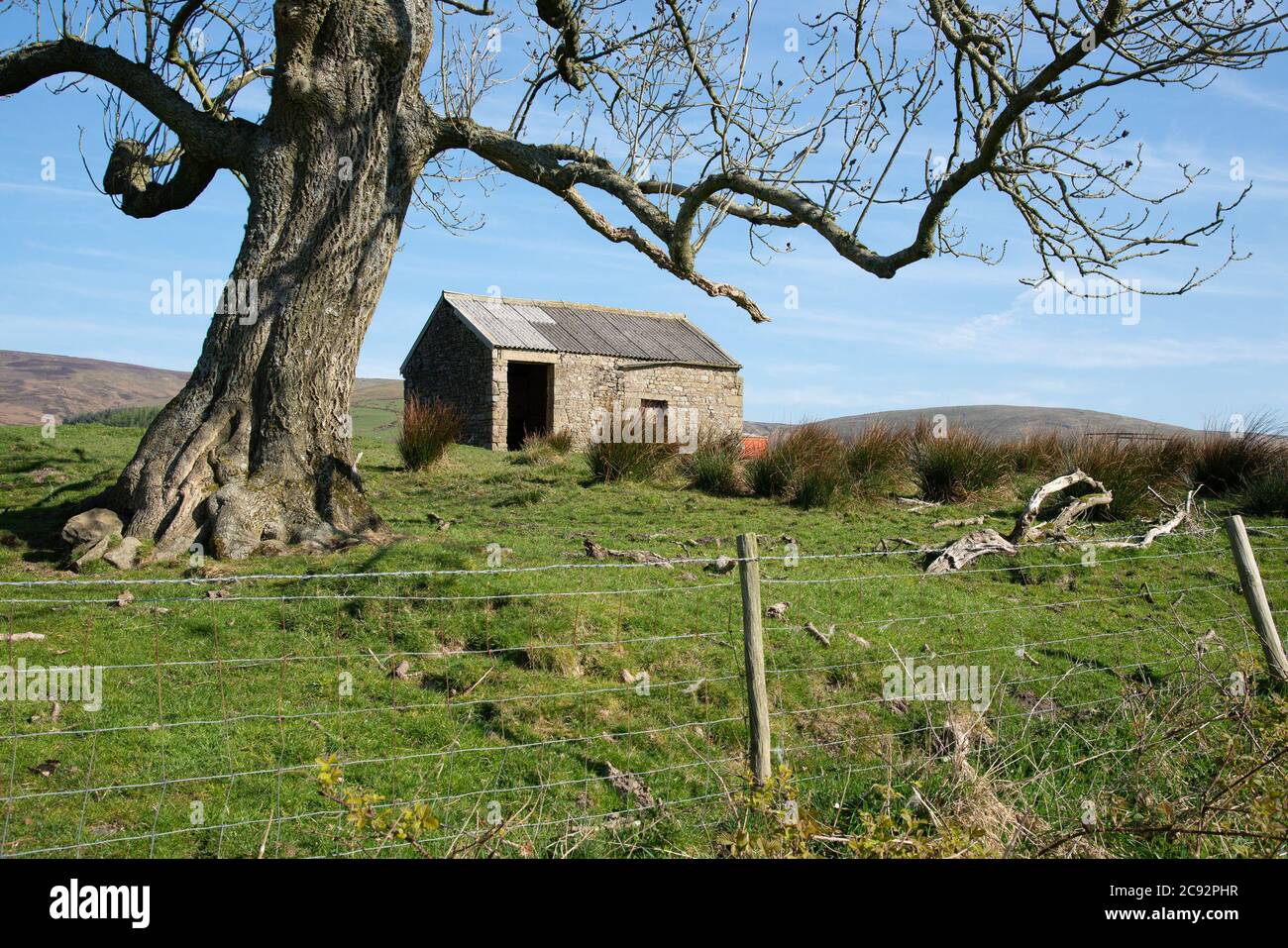 Old Stone Barn, Chipping, Preston, Lancashire, England, Vereinigtes Königreich. Stockfoto