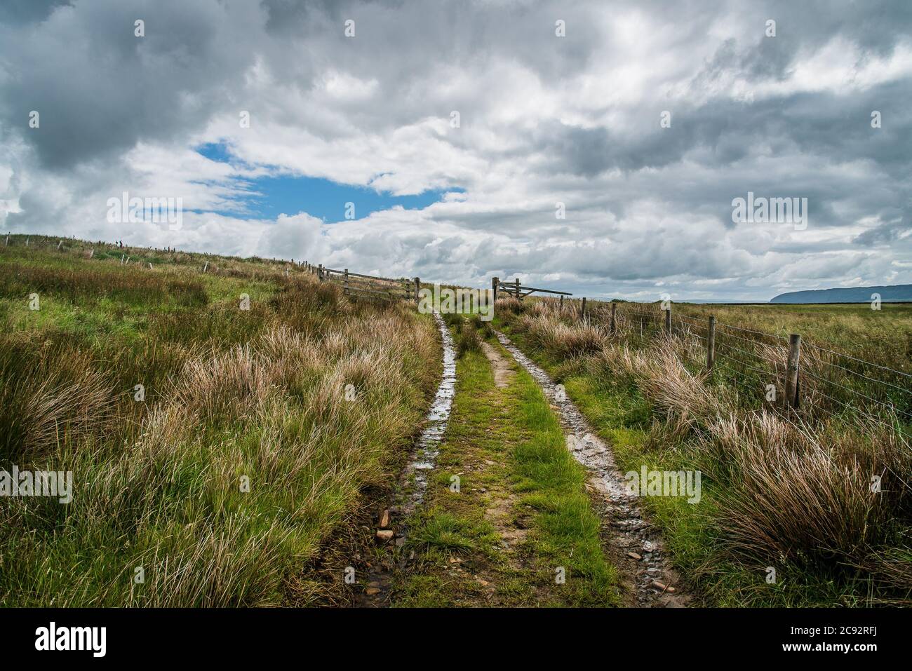 Eine Farm Track Ginney Hey, Bowland-with-Leagram, Chipping, Preston, Lancashire, Großbritannien Stockfoto