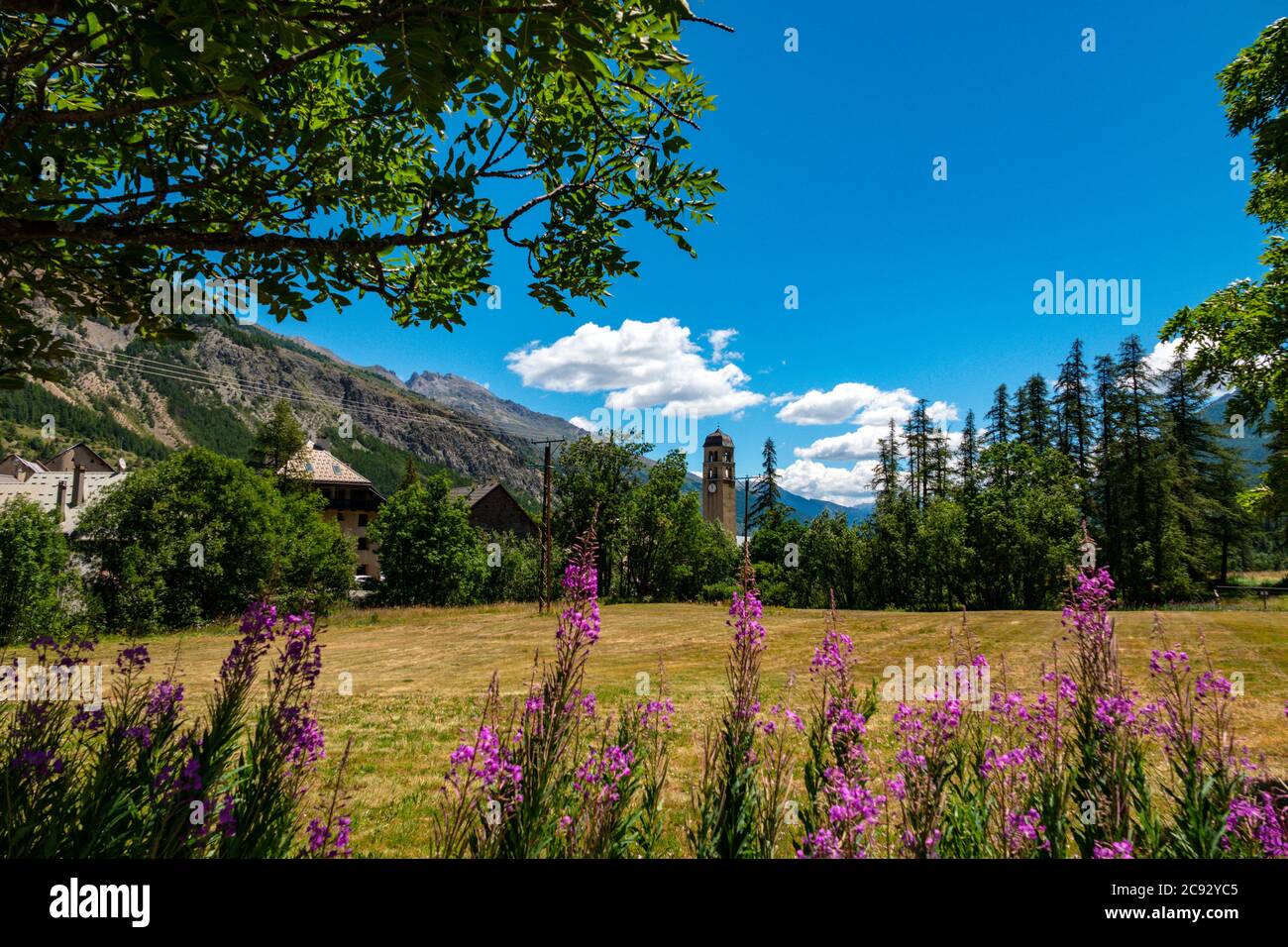 Unkraut natur und wiesen Stockfotos und bilder Kaufen Alamy