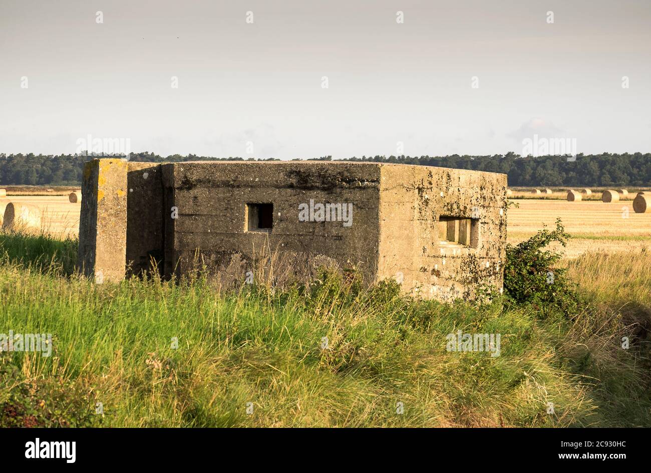 Verlassene Beton Pillbox Beispiel Stockfoto