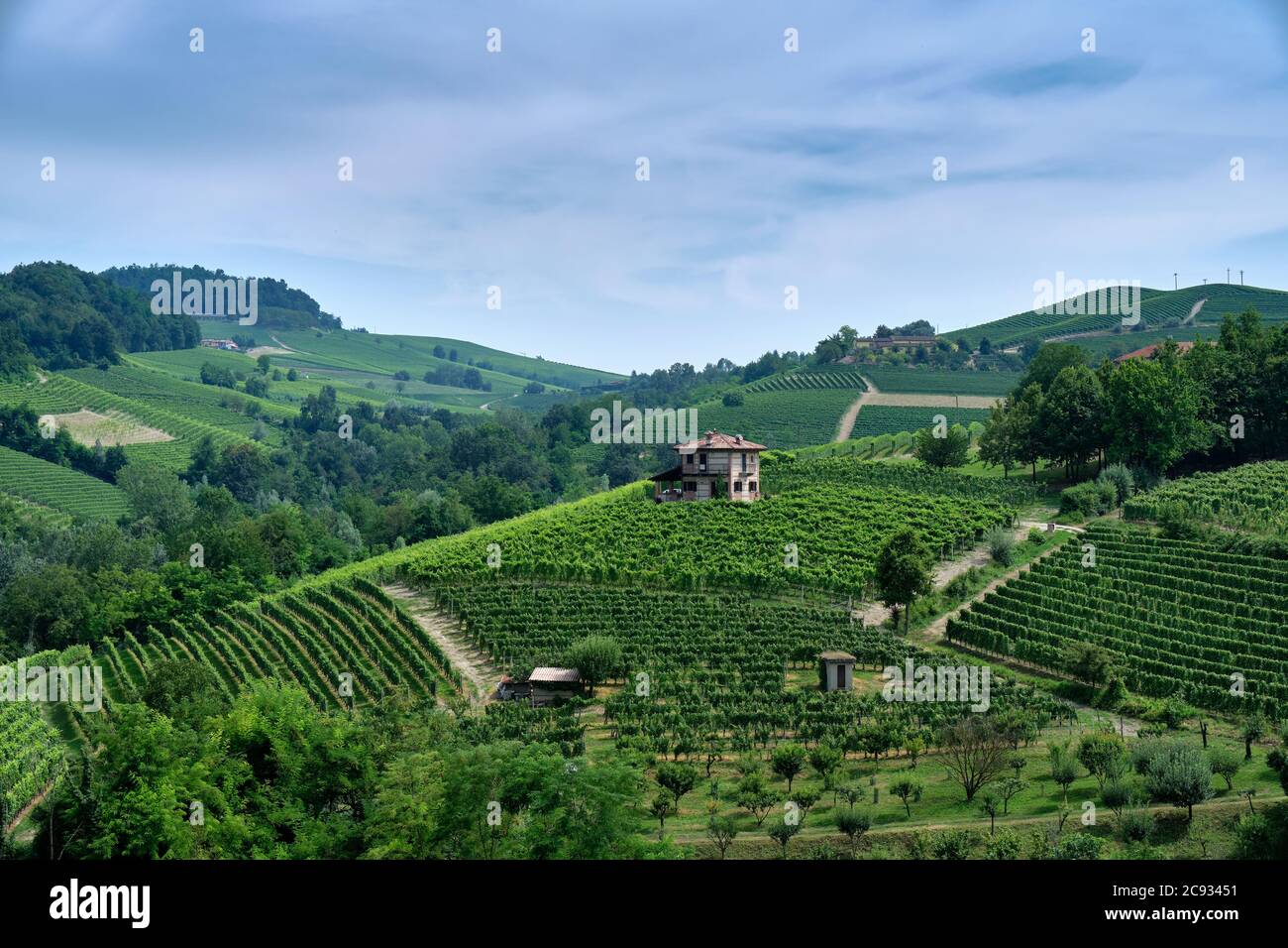 Weinberge Hügellandschaft der Langhe, die besten Weine Gebiet des Piemont, UNESCO-Weltkulturerbe Stockfoto