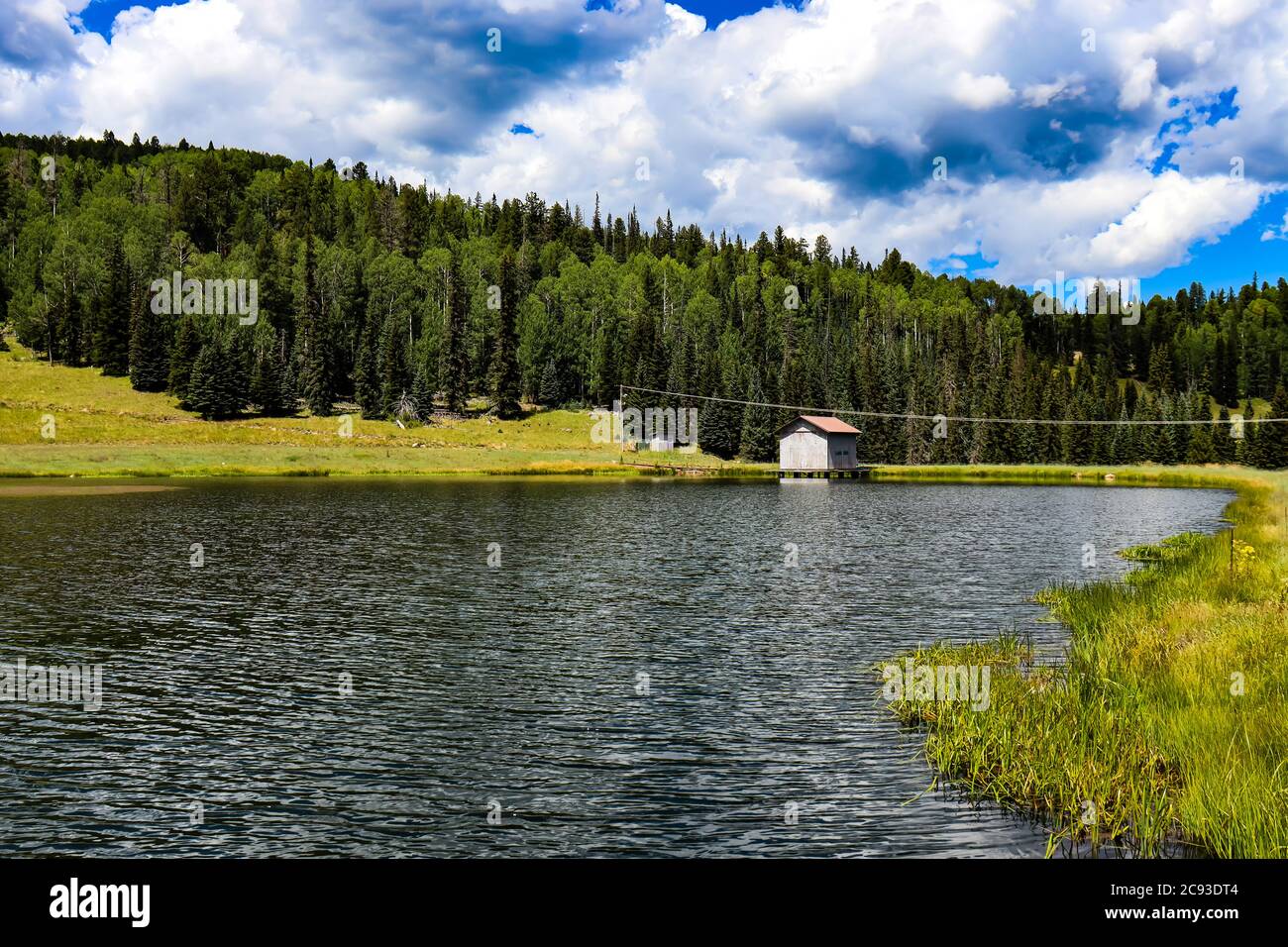 Alpenteich auf Mt. Baldy, neben dem White Mountain Ski Resort im Nordosten von Arizona. Stockfoto