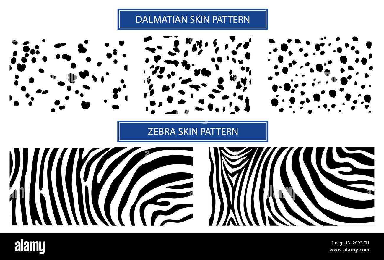 Musterhaut für textiles Design. Setzen Sie Haut dalmatinischen Flecken und Zebra Linie. Horizontaler Hintergrund, schwarze chaotische Flecken isoliert auf weiß. Stock Vektor