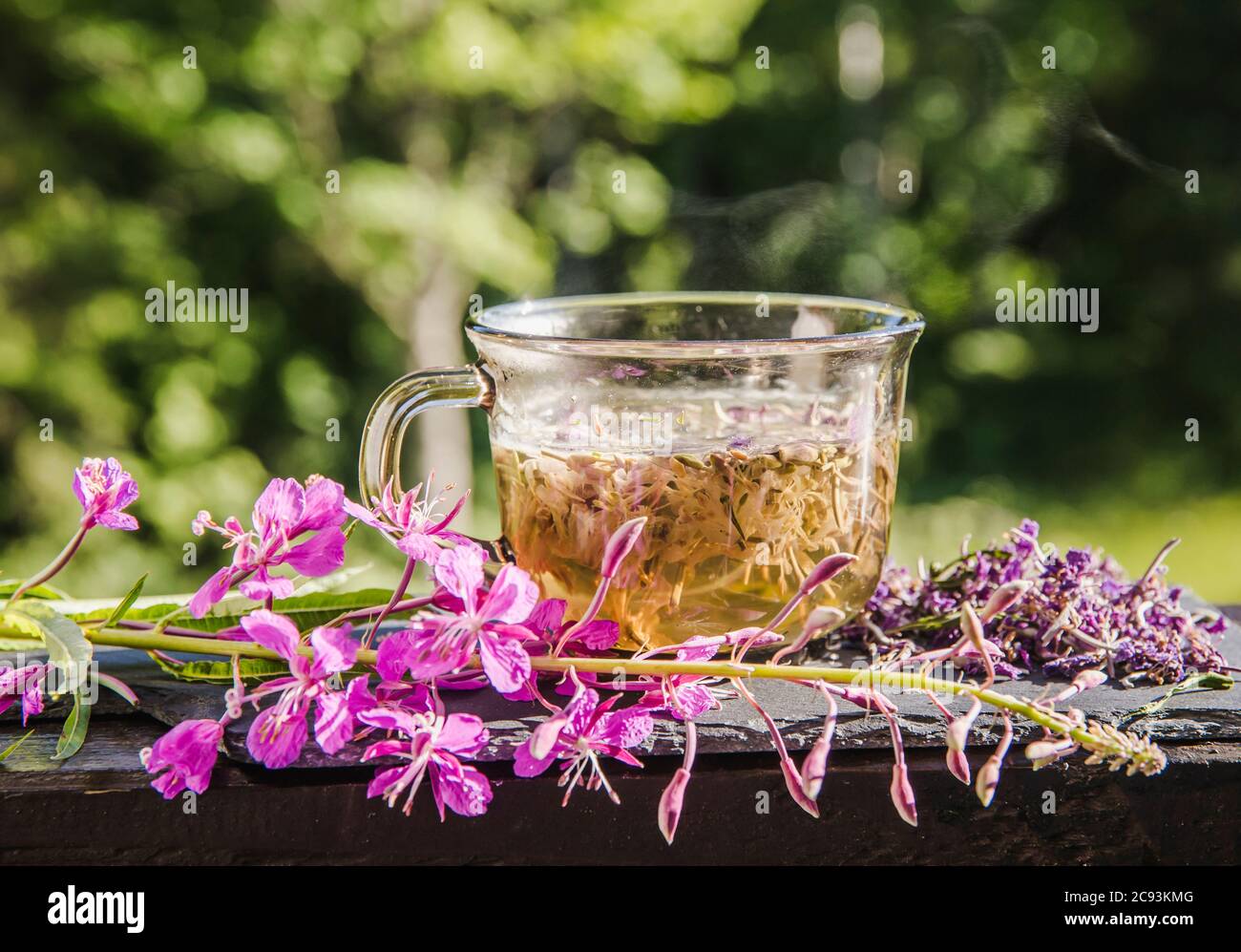 Chamaenerion angustifolium (Feuerkraut, große Weidenkräuter, Rosebay Weidenkräuter) Tee mit trockenen und frischen Blüten zur Dekoration. Konzept der Kräutermedizin. Stockfoto