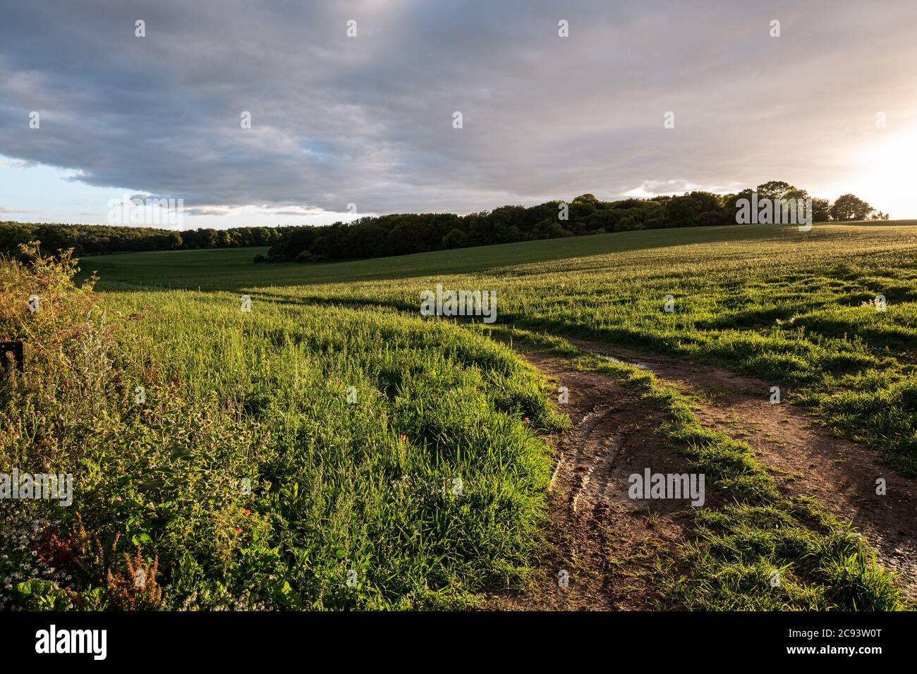 Landschaftsaufnahme bei Sonnenuntergang, ohne Menschen Stockfoto