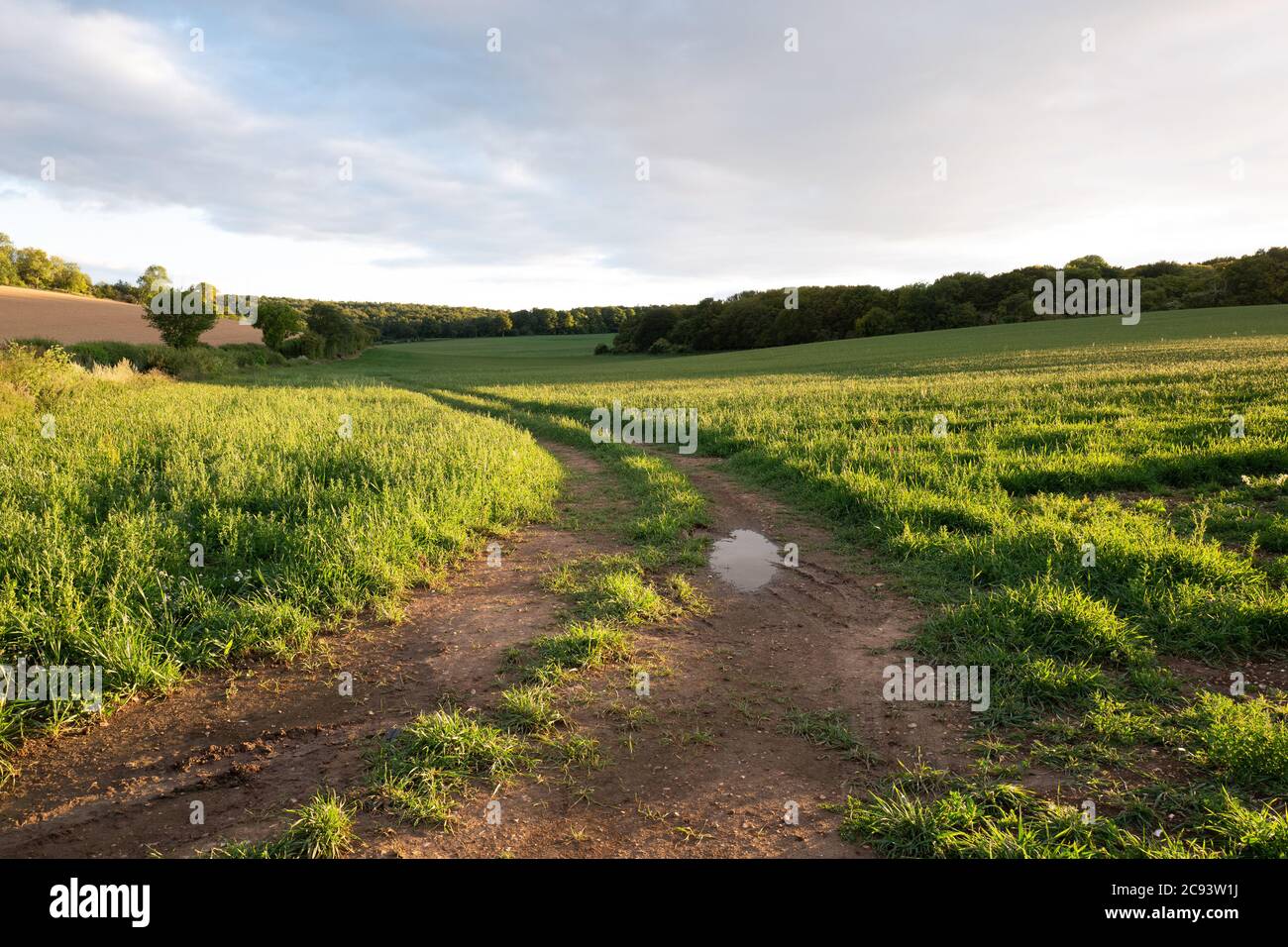 Landschaftsaufnahme bei Sonnenuntergang, ohne Menschen Stockfoto