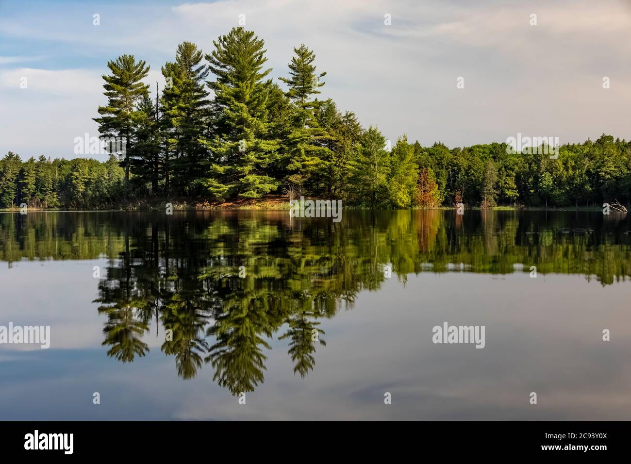 Insel in Imp Lake im Ottawa National Forest auf der oberen Halbinsel von Michigan, USA Stockfoto