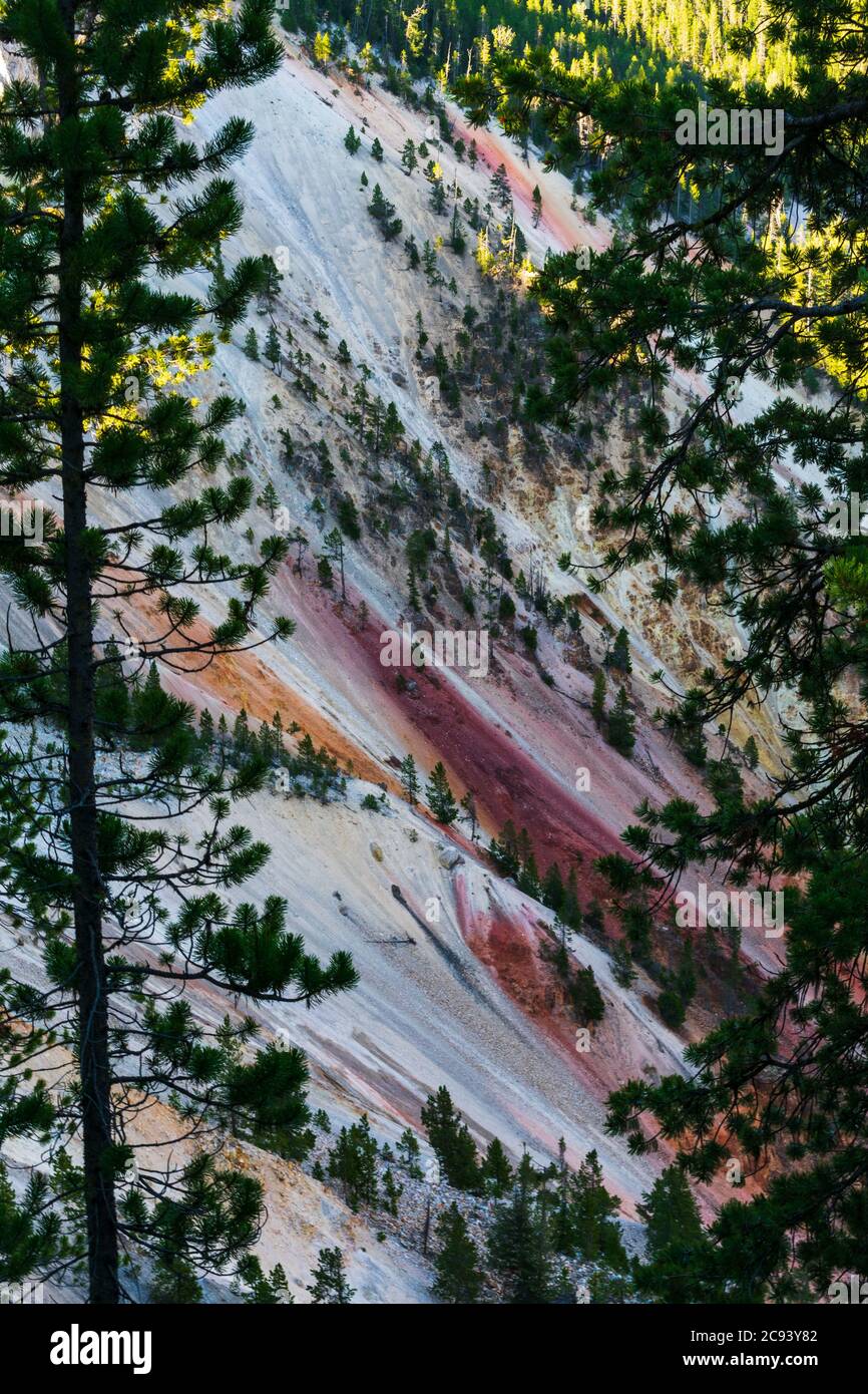 Farben Streifen die Canyon Wände des Grand Canyon des Yellowstone, Yellowstone National Park Stockfoto