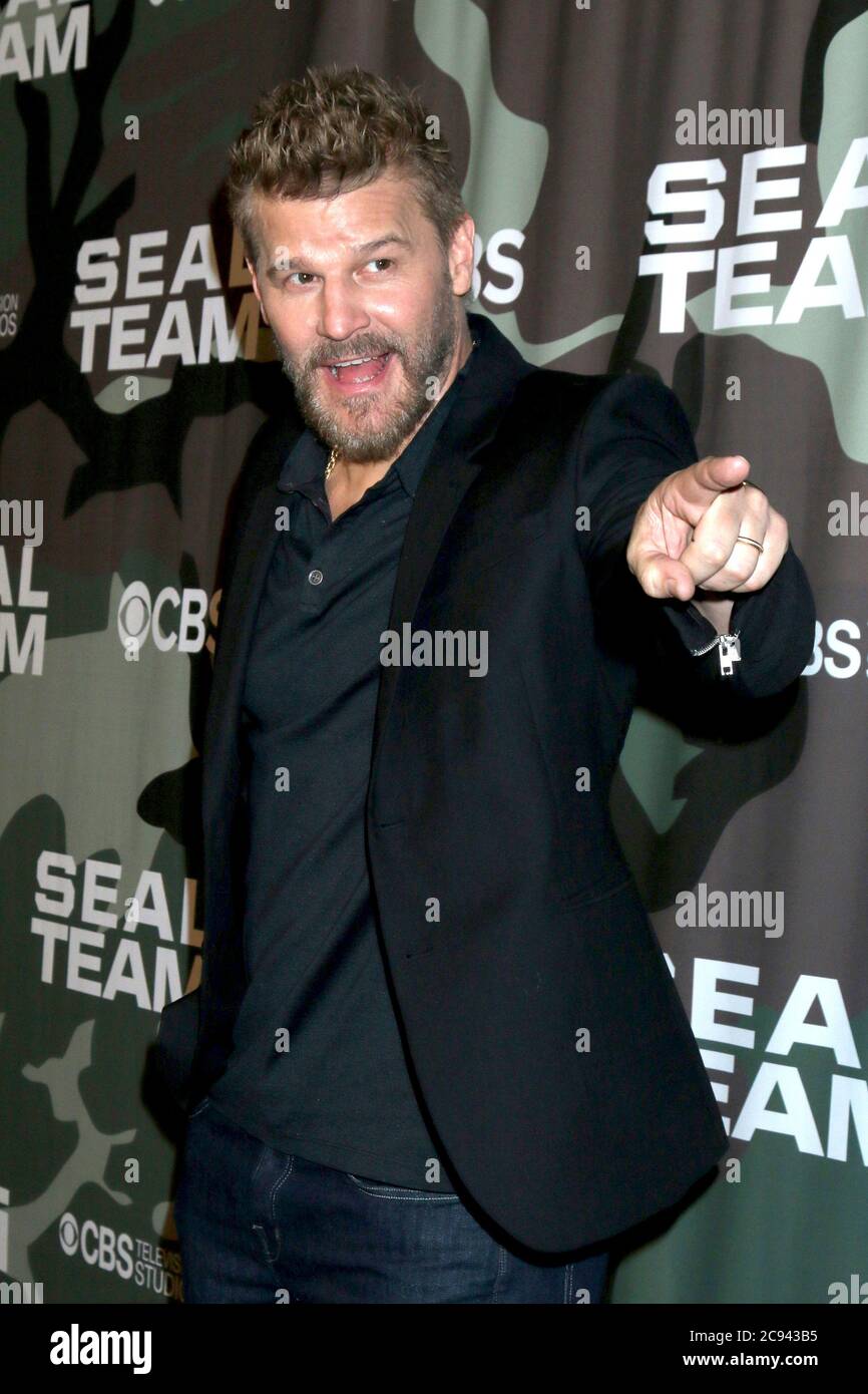 LOS ANGELES - FEB 25: David Boreanaz bei der 'Seal Team' Vorführung im ArcLight Hollywood am 25. Februar 2020 in Los Angeles, CA Stockfoto