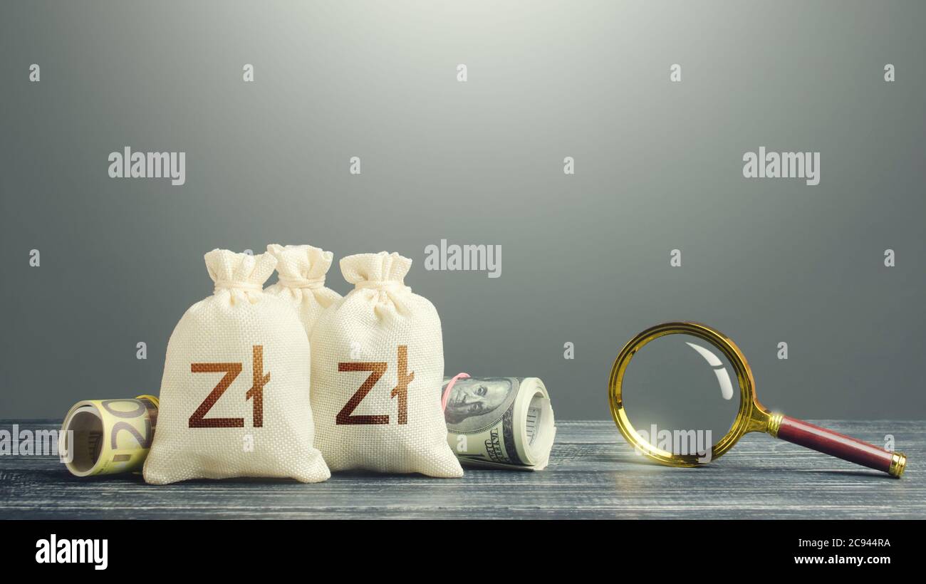 Polnische Zloty Geldbeutel und Lupe. Finanzielle Ressourcen finden, Projekte finanzieren. Überwachung verdächtiger Transaktionen, Cashflows und der le Stockfoto