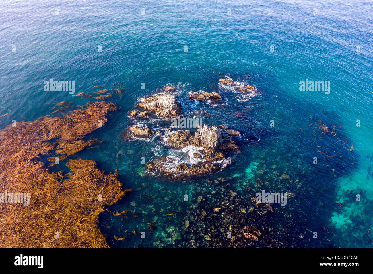 Ein Luftbild der berühmten Seal Rocks in Laguna Beach ist ein beliebter Tauchplatz und Heimat vieler Seelöwen. Stockfoto