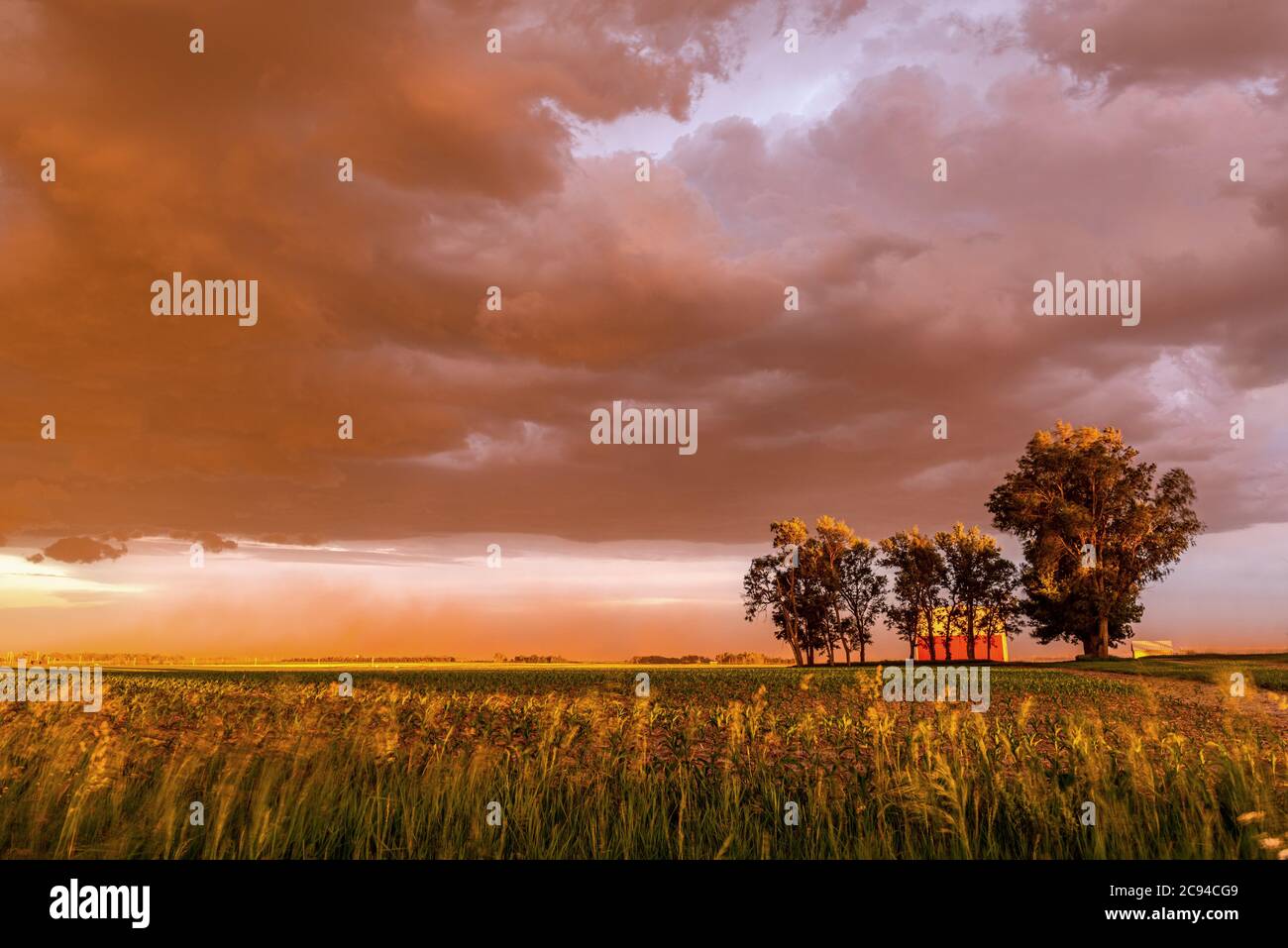 Ein großer Staubsturm weht bei Sonnenuntergang über ein Feld und zu Hause und wirft einen lebendigen, tiefen Orange über den Horizont. Stockfoto