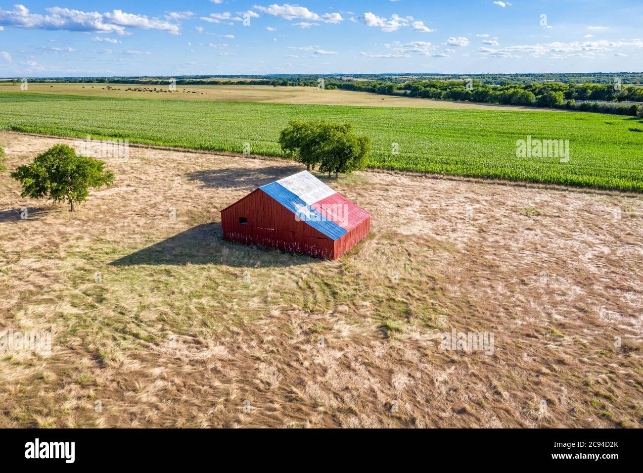 Eine verlassene alte Scheune mit dem Symbol von Texas auf dem Dach befindet sich in einem ländlichen Gebiet des Staates, eingerahmt von Ackerland. Stockfoto