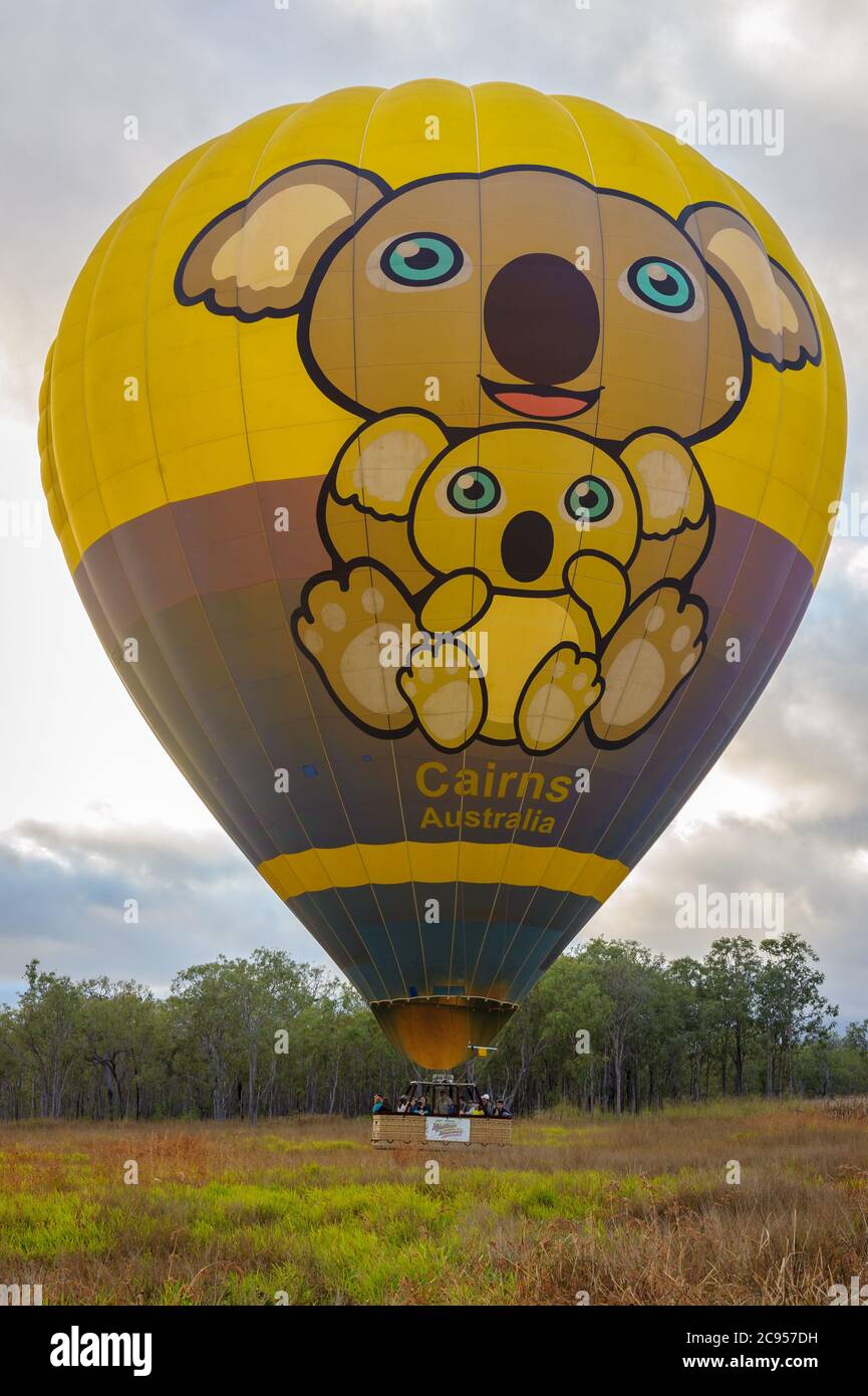 Touristen ruhen sich in Vorfreude aus, wenn sich ein großer, mit Koalas bemalter Ballon auf einen Sonnenaufgang von Mareeba in Queensland, Australien, vorbereitet. Stockfoto
