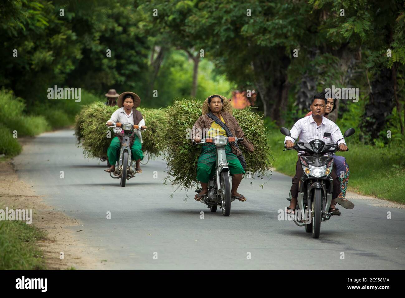 Sagaing/Myanmar-3. Oktober 2019: Birmanische Bauern fahren Motorräder, um Gras zu transportieren, um Tiere zu füttern. Stockfoto