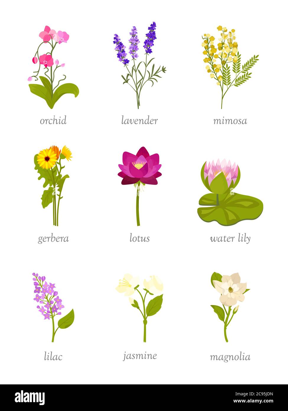 Schöne Blumen flache Vektor-Illustrationen Set Stock Vektor