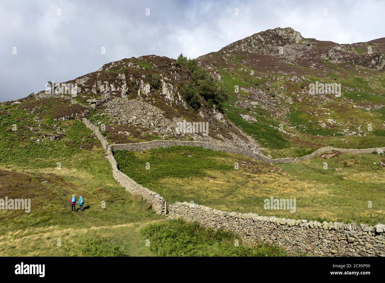 Wanderer, die von Glenridding Dodd, Lake District, Cumbria, Großbritannien, Richtung Heron Pike fahren Stockfoto