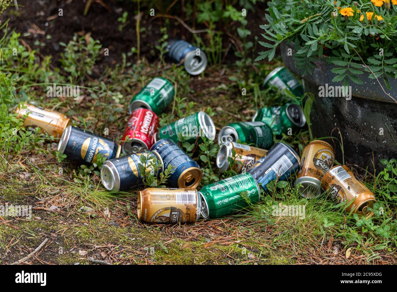 Leere Apfelwein- und Bierdosen auf dem Boden Stockfoto