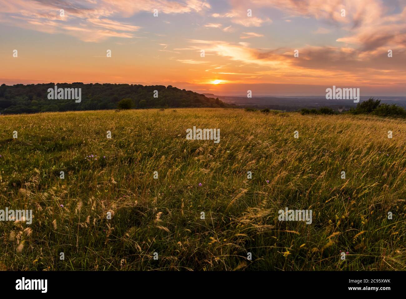 Sonnenuntergang über Beacon Hill auf den North Wessex Downs Südostengland im Juli an der Grenze von Hampshire und Berkshire Stockfoto