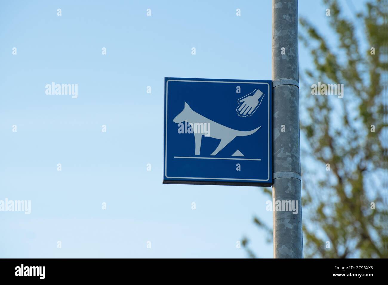 Reinigen Sie nach Ihrem Hund, Warnschild in einem öffentlichen Park, Konzept Reinigung Hund Kot in der Stadt Stockfoto