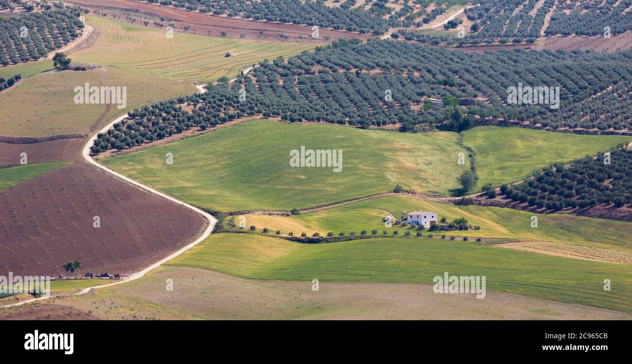 Ackerland in der Nähe von Alhama de Granada, Provinz Granada, Andalusien, Südspanien. Stockfoto