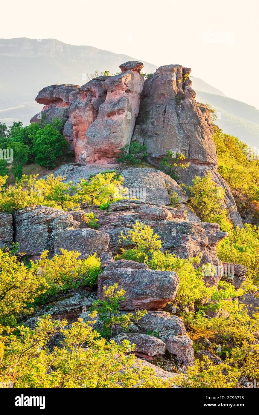 Die Belogradchik Felsen bei Sonnenuntergang - natürliches Wahrzeichen in der Gegend von Belogradchik, Balkangebirge, Nordwesten Bulgariens Stockfoto