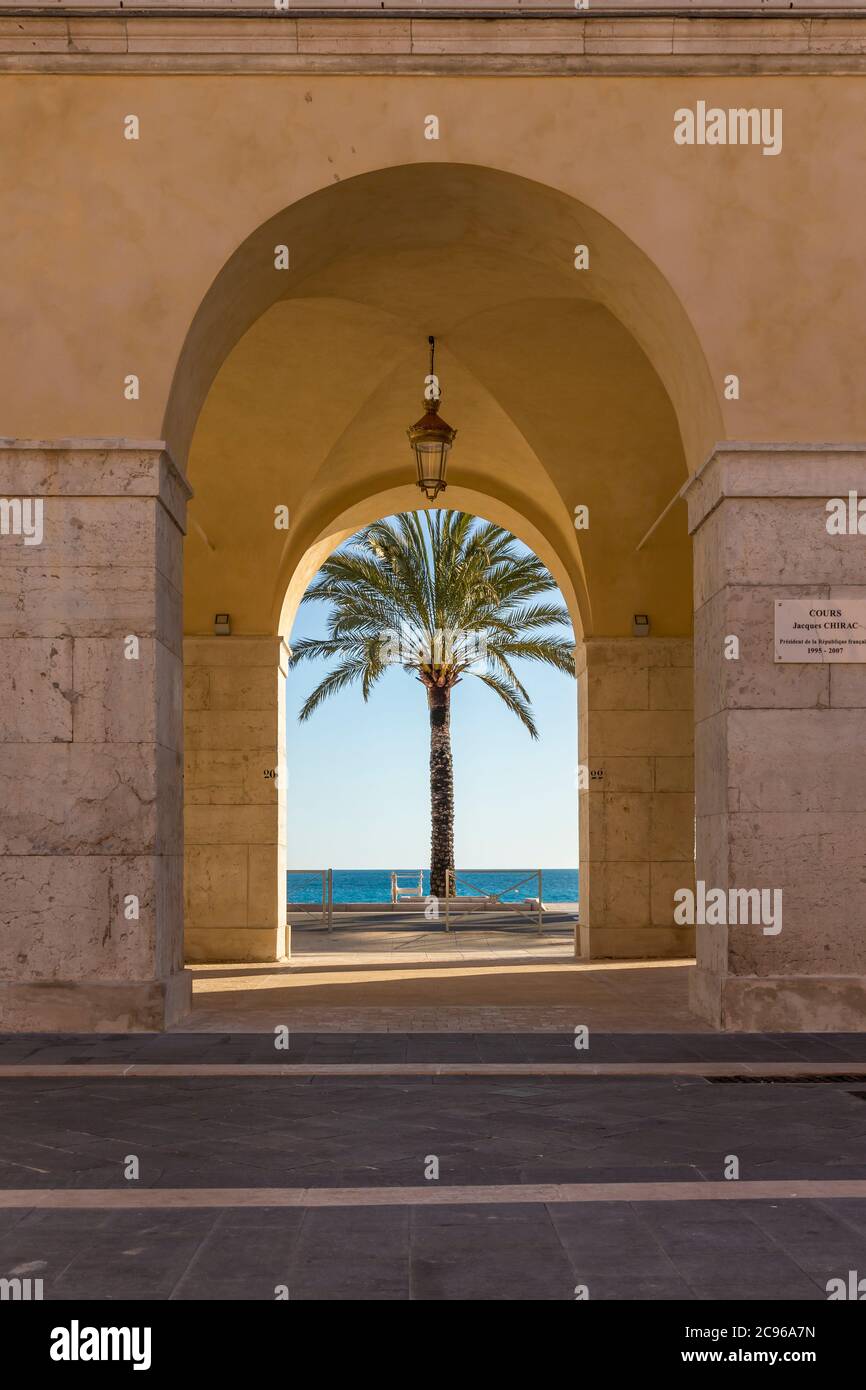 Einzelne Palme an der Promenade des Anglais von Cours Saleya, Nizza, Cote d'Azur, Frankreich, Europa aus gesehen Stockfoto