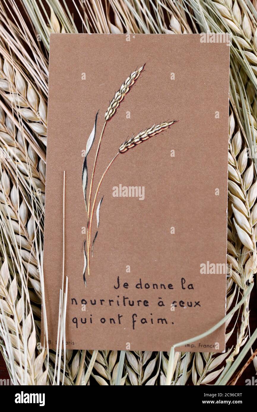Religiöses Bild und Ähren von Weizen. Frankreich. Stockfoto