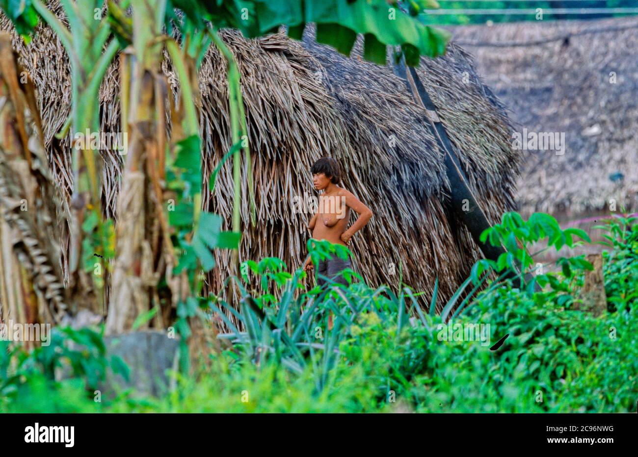 INDIOS YANOMAMI, IRONAVI STAMM, KANUFAHREN AUF BRAZO CASIQUIAIRE, AMAZONAS, VENEZUELA Stockfoto