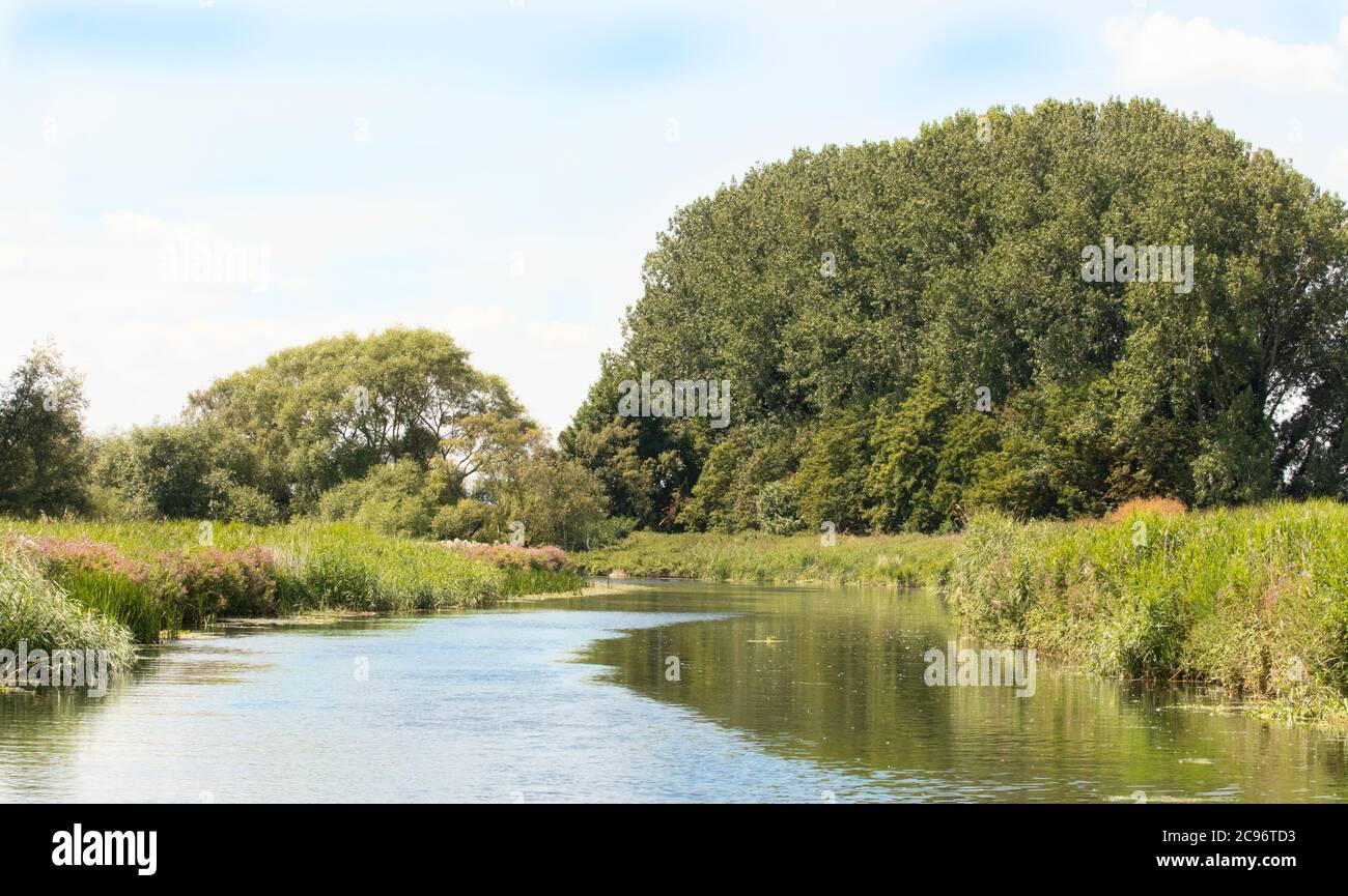 River Cam, Cambridgeshire Landschaften, Sonnenaufgang über dem Fluss, Sommer 2020 Stockfoto