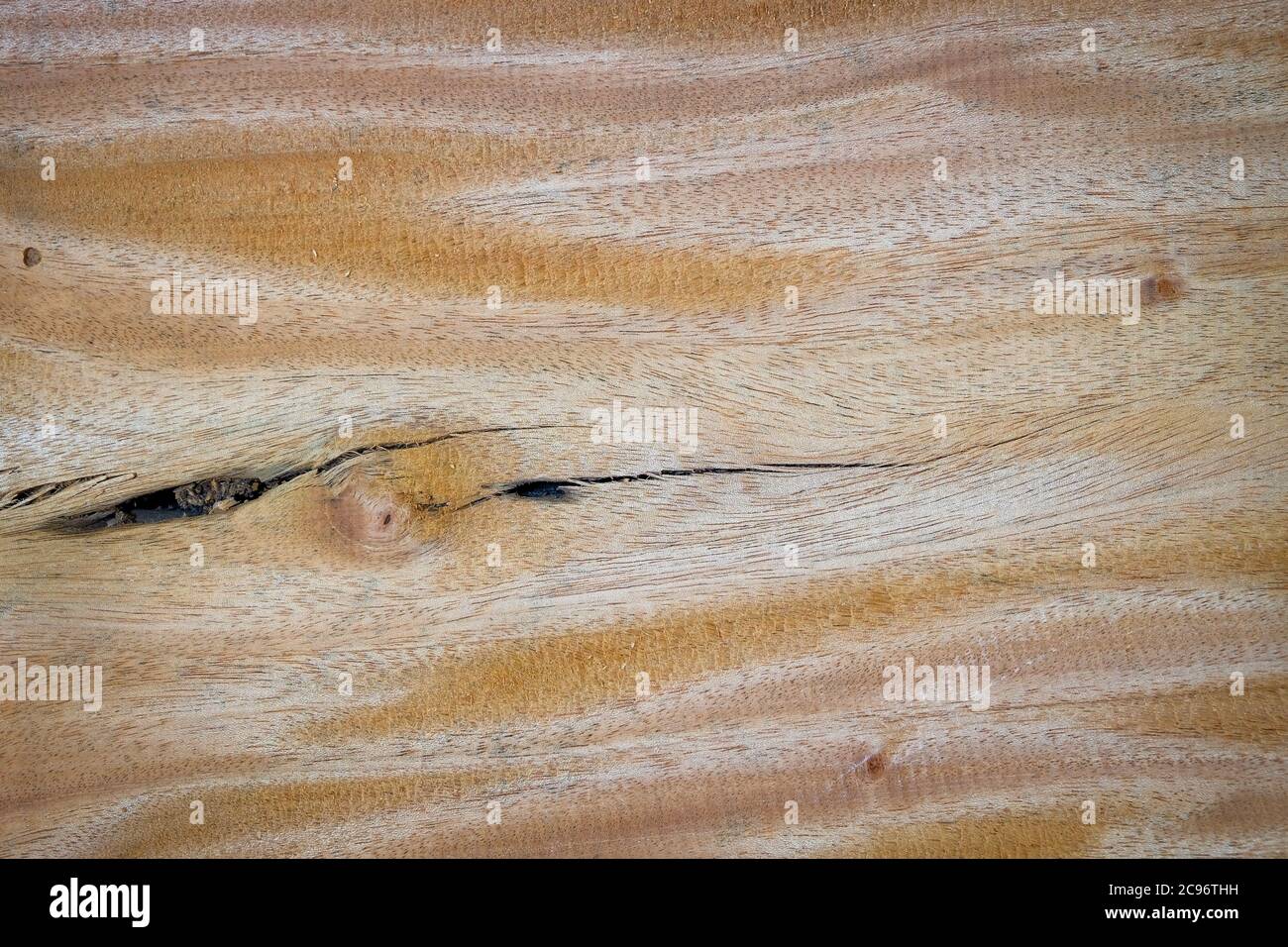 Leere große Hartholzplanke mit Textur Hintergrund Stockfoto