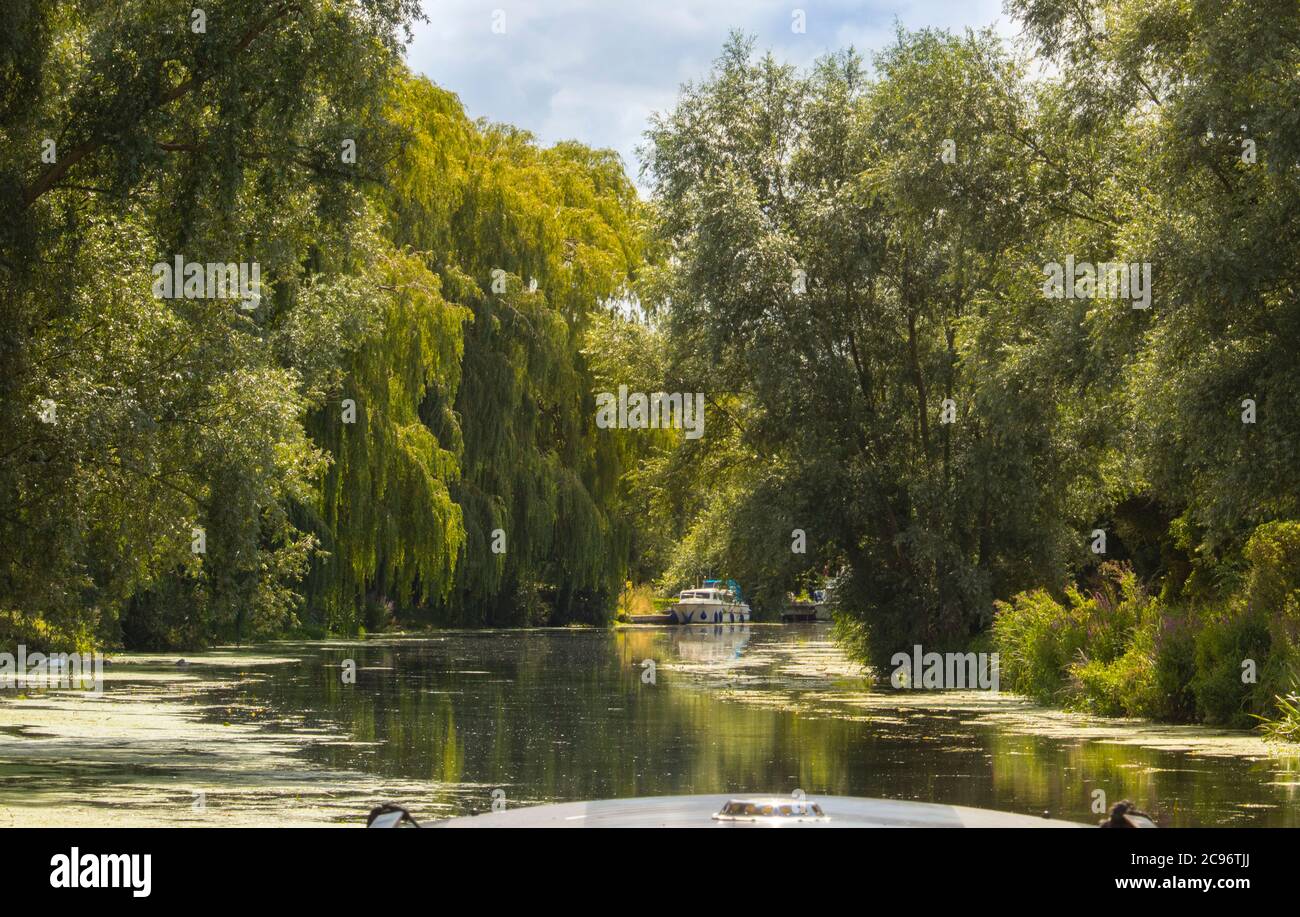 River Cam, Cambridgeshire Landschaften, Sonnenaufgang über dem Fluss, Sommer 2020 Stockfoto