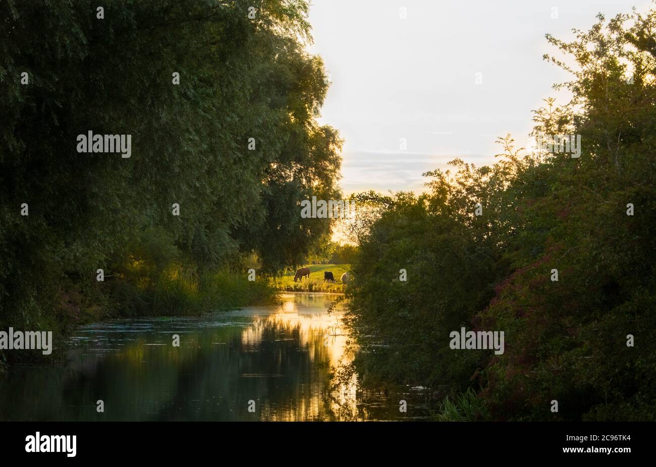 River Cam, Cambridgeshire Landschaften, Sonnenaufgang über dem Fluss, Sommer 2020 Stockfoto