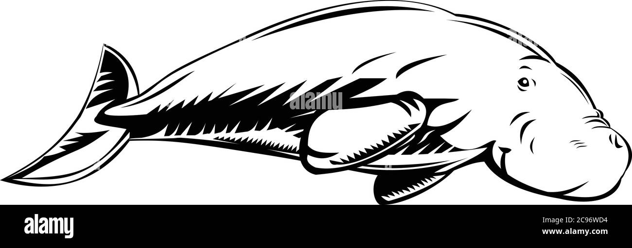 Retro Holzschnitt-Illustration eines Dugong, eines mittelgroßen Meeressäugers, einer von vier lebenden Arten der Ordnung sirenia, von der Seite auf Isolat betrachtet Stock Vektor
