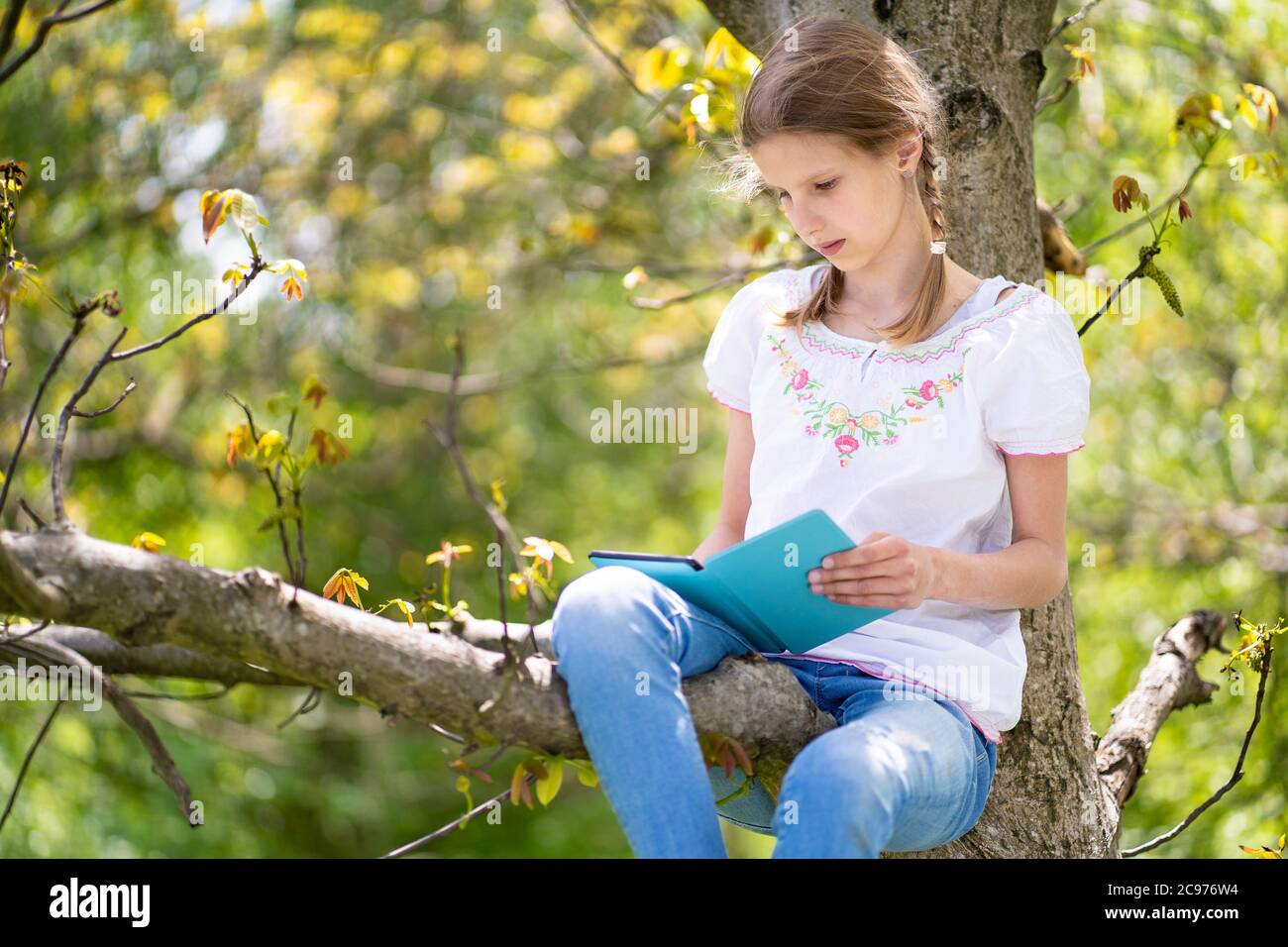 Junges Mädchen in weißem T-Shirt sitzt auf einem Baum im Wald und Buch auf eBook Reader lesen. Tolle Idee und Aktivität, um Zeit in der Natur zu verbringen. Stockfoto