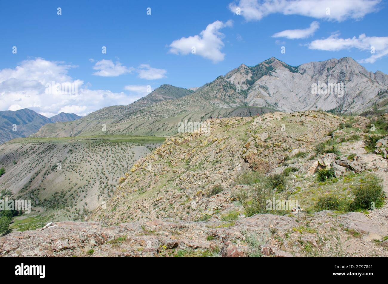 Landschaft des Altai-Gebirges in Russland mit Wald und Pflanzen Stockfoto