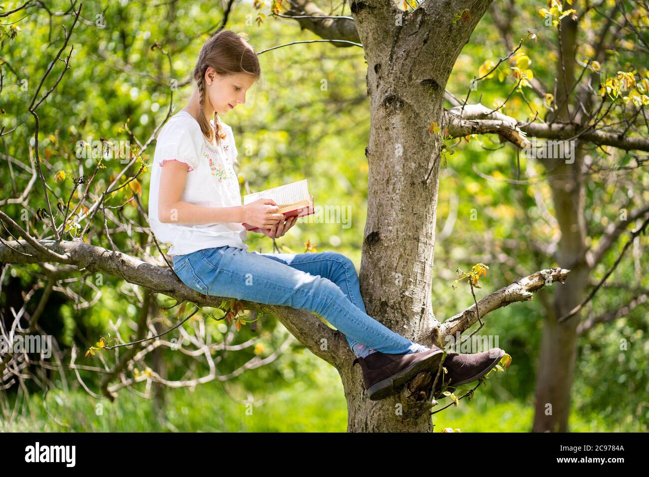 Junges Mädchen in weißem T-Shirt auf dem Baum im Wald sitzen und lesen Interessantes Buch. Tolle Idee und Aktivität, um Sommerferien in der Natur zu verbringen. Stockfoto