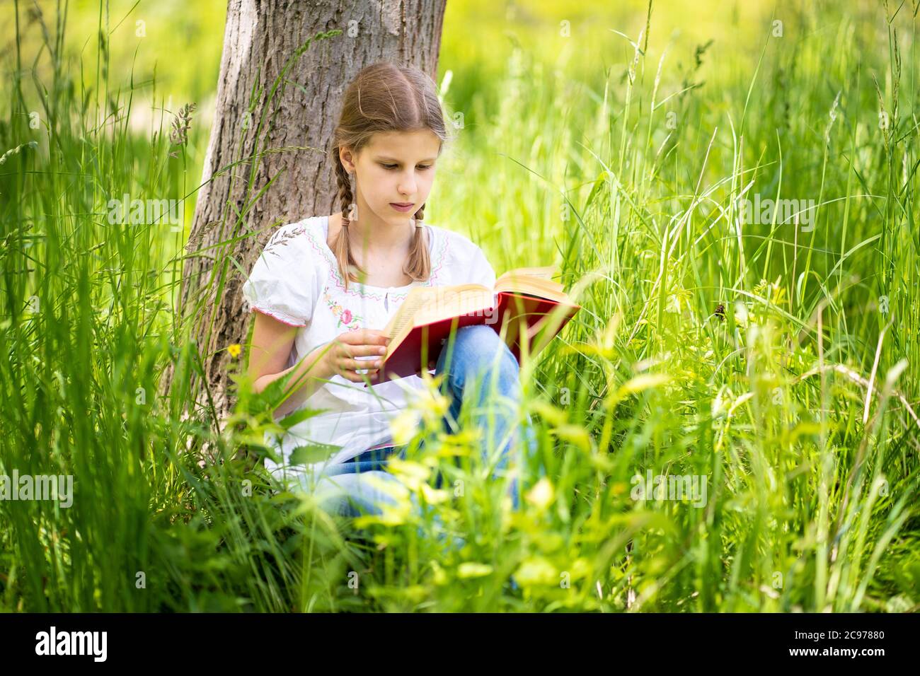 Junges Mädchen in weißem T-Shirt auf dem Gras am Baum im Wald sitzen und Buch lesen. Tolle Idee und Aktivität, um Sommerurlaub zu verbringen. Stockfoto