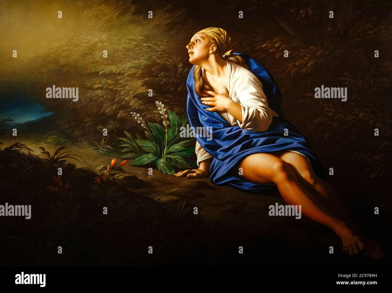 Italien, Marken, Jesi, Palazzo Pianetti, Städtische Kunstgalerie - Magdalena 2008 von Bruno D'Arcevia Stockfoto