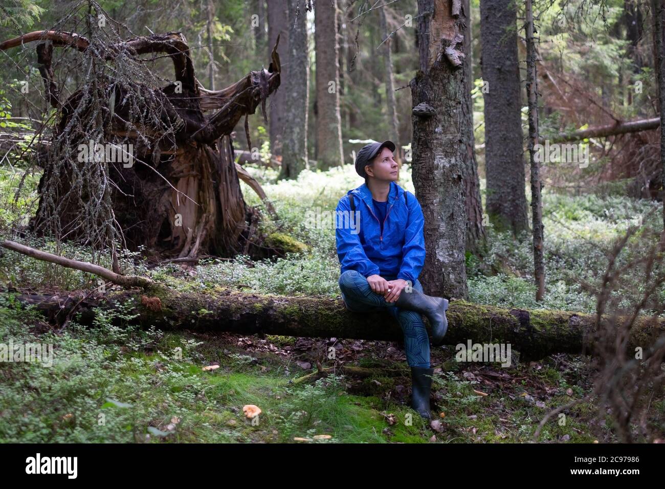 Reisender, der auf einem umgestürzten Baum in einem Wald sitzt und sich ausruhte Stockfoto