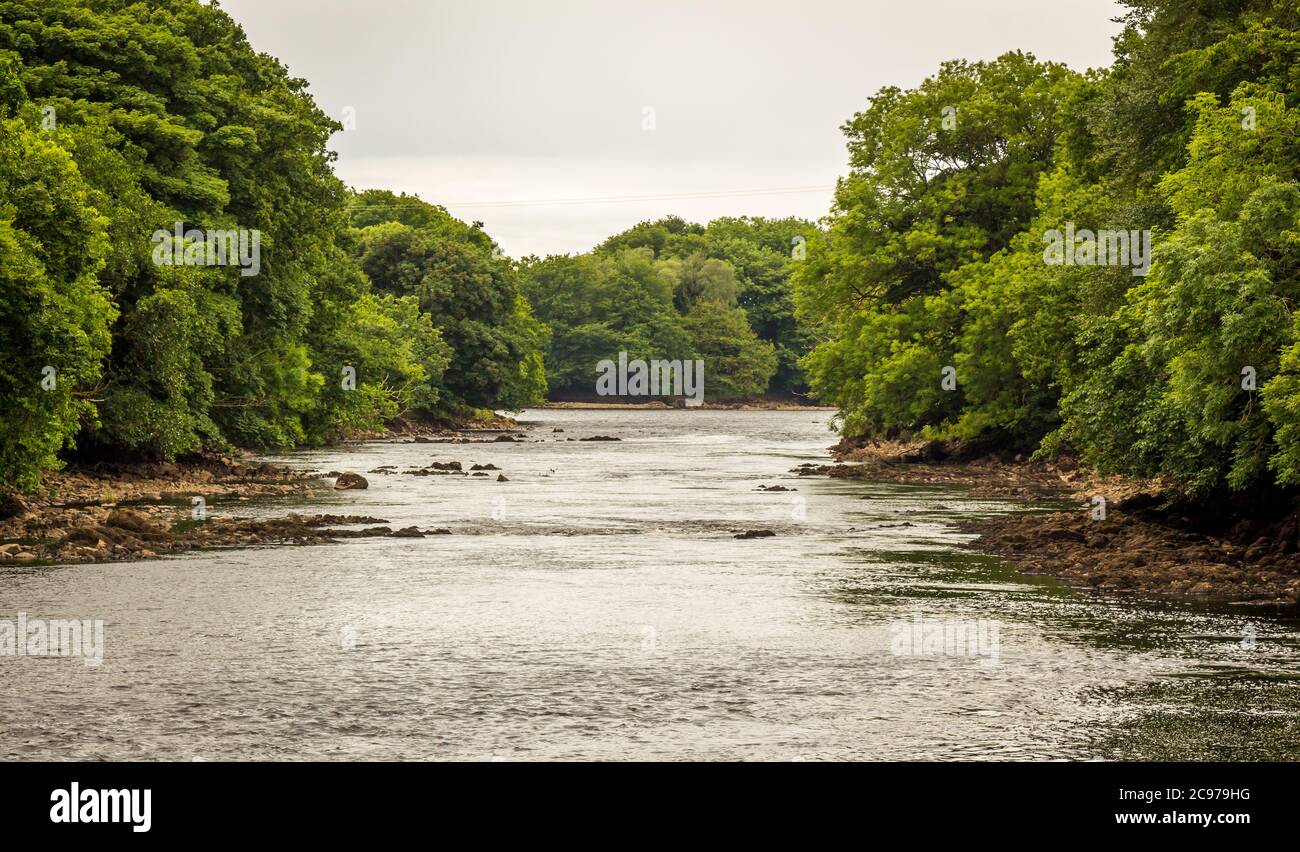 Blick flussabwärts auf einen Baum gesäumt den Fluss Dee in Barstigly in der Nähe von Kirkcudbright, Galloway, Schottland Stockfoto