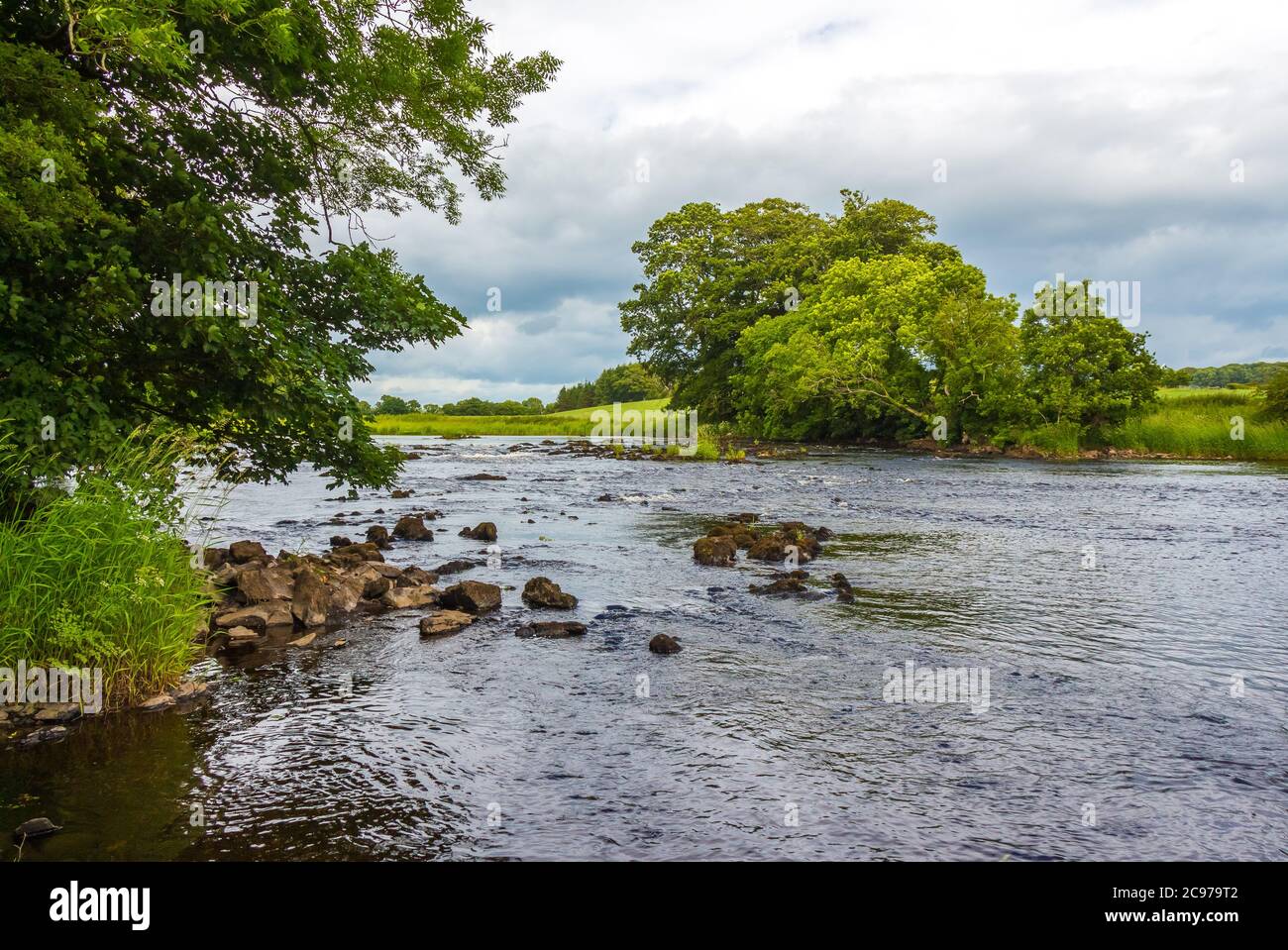 An einem Sommertag auf dem River Dee, Galloway, Schottland, rast ein Felsenriffel unter Bäumen Stockfoto