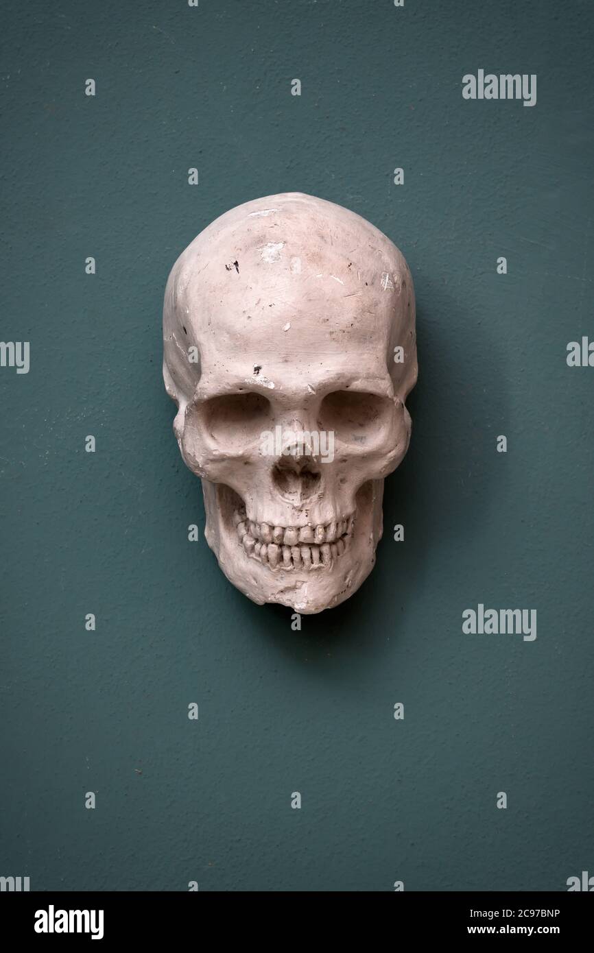 Replik eines menschlichen Schädels hängt an einer tealfarbenen Wand Konzept von Halloween, Tod und Morbidität mit Copyspace unten Stockfoto
