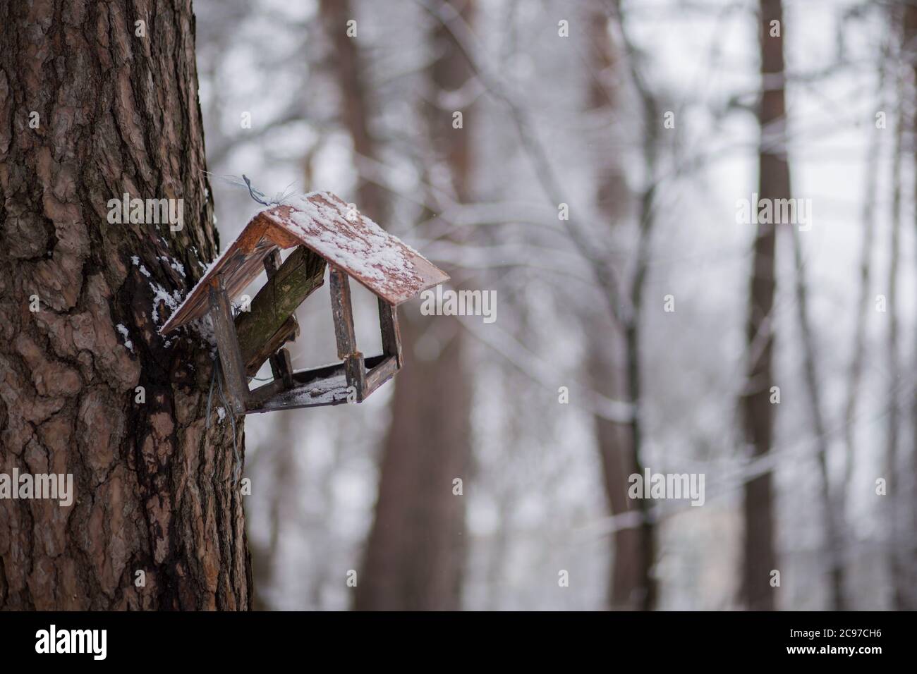Vogelfutterhäuschen im Winterwald auf Baum Stockfoto