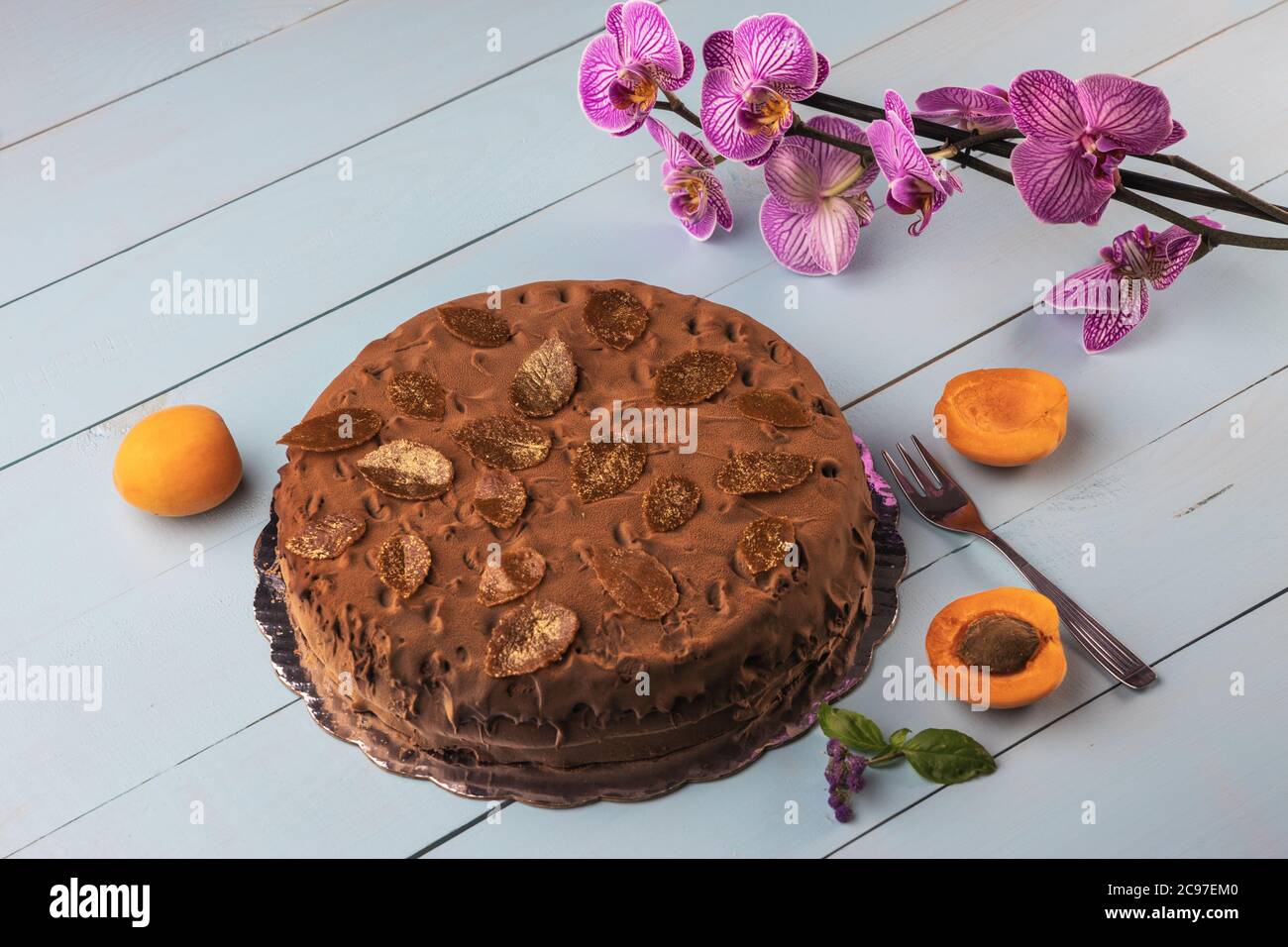 Hausgemachte Schokoladenkuchen mit Nüssen und Aprikosengelee auf Holzboden Stockfoto