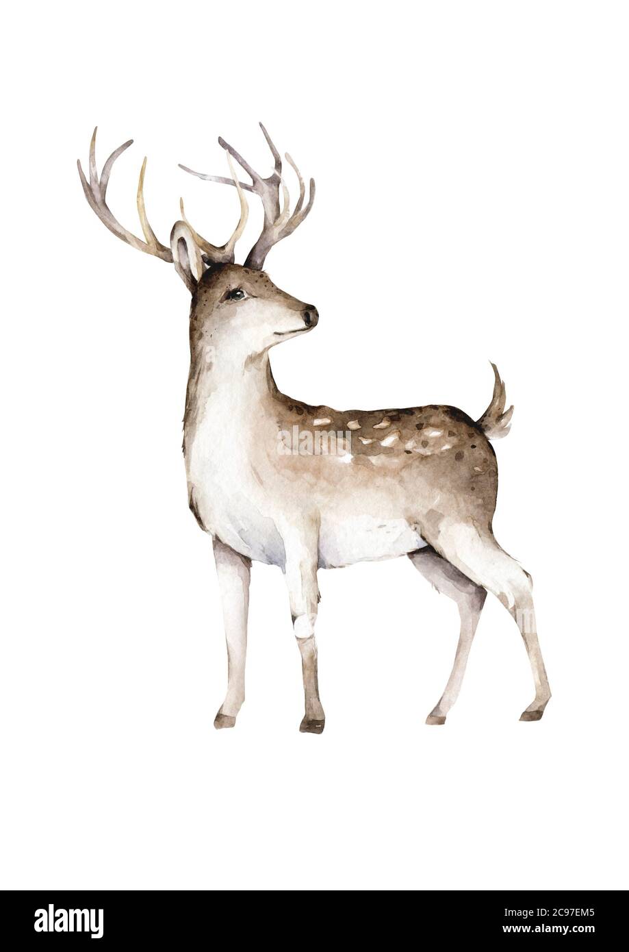 Hand gezeichnet Aquarell Hirsch Illustration, Isolation Objekte auf