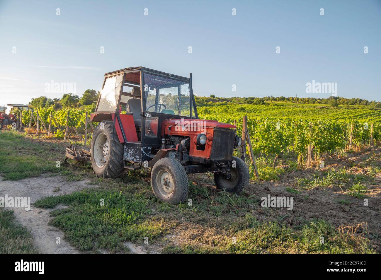 Traktor in Weinbergen am Sommertag mit blauem Himmel Stockfoto